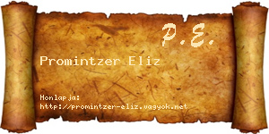 Promintzer Eliz névjegykártya
